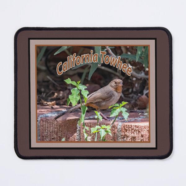 Item preview, California Towhee designed and sold by CarolM.