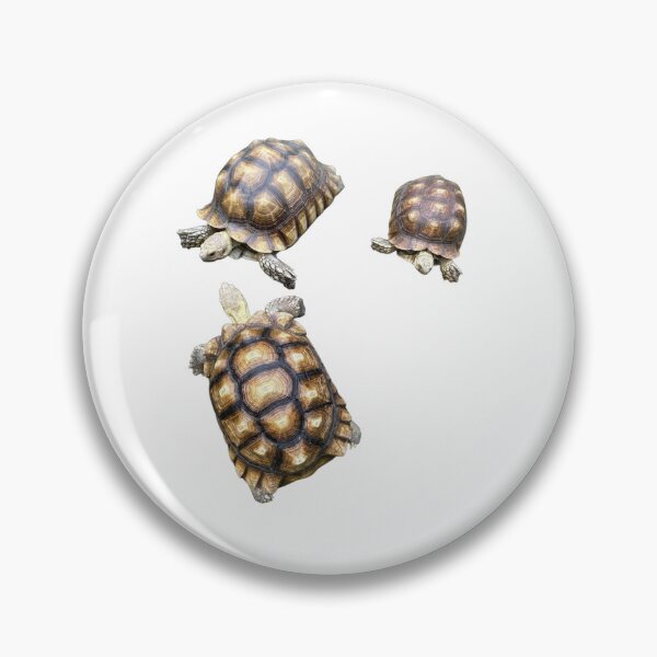Item preview, Trio of Tortoises designed and sold by BeachBumFamily.