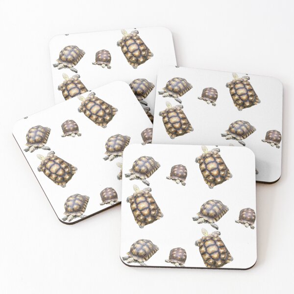 Item preview, Trio of Tortoises designed and sold by BeachBumFamily.