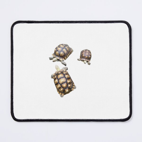 Item preview, Trio of Tortoises designed and sold by BeachBumFamily.