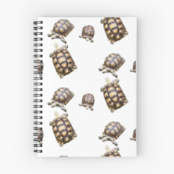 Item preview, Trio of Tortoises designed and sold by BeachBumFamily.