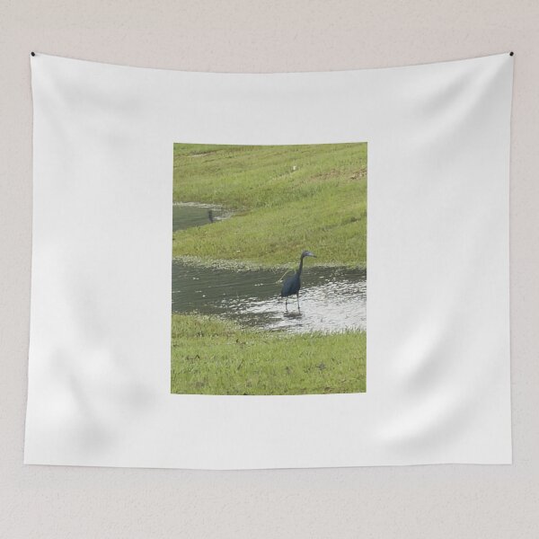Item preview, Elegant Little Blue Heron Along the Shoreline. designed and sold by Pearls1.