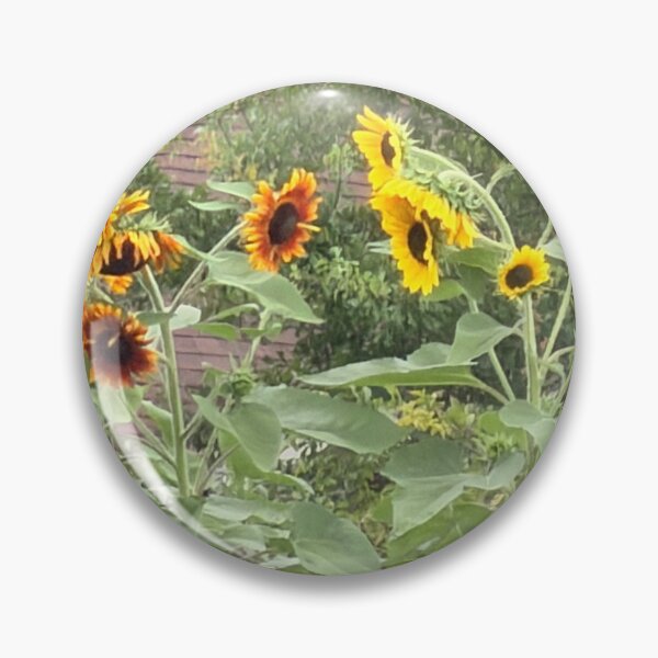 Item preview, Golden Sunflower in Full Bloom. designed and sold by Pearls1.
