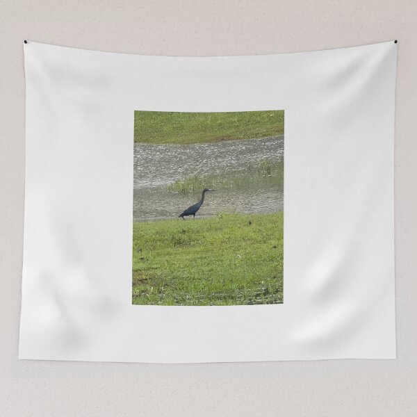 Item preview, Little Blue Heron Hunting in Coastal Waters. designed and sold by Pearls1.