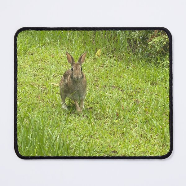 Item preview, Adorable Bunny in Natural Habitat designed and sold by Pearls1.