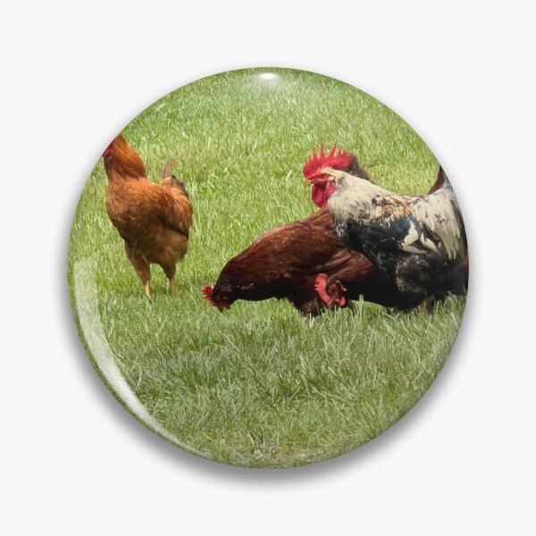 Item preview, Chickens Foraging in a Farmyard Scene. designed and sold by Pearls1.