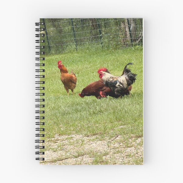 Item preview, Chickens Foraging in a Farmyard Scene. designed and sold by Pearls1.
