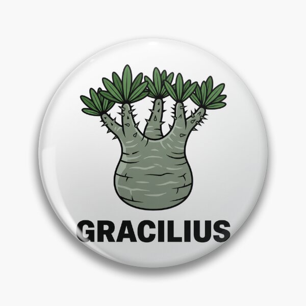 Item preview, Pachypodium Densiflorum Caudex Plant Graphic designed and sold by GreenDivisionJP.