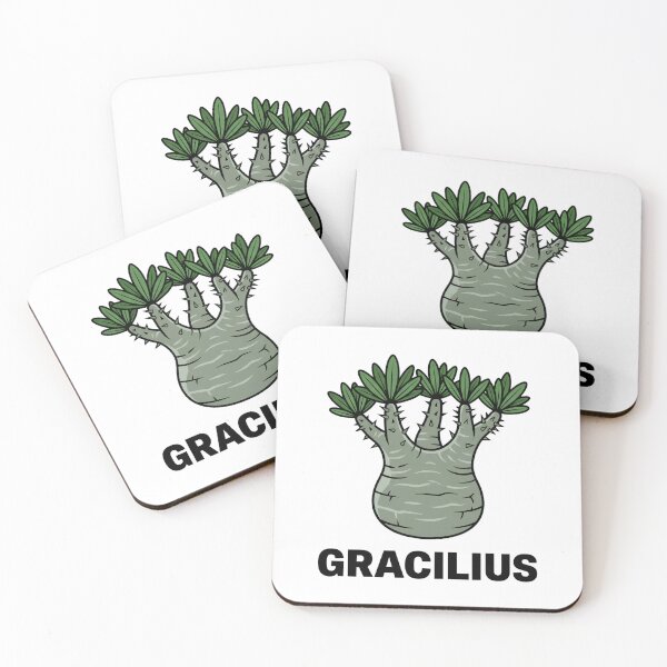 Item preview, Pachypodium Densiflorum Caudex Plant Graphic designed and sold by GreenDivisionJP.