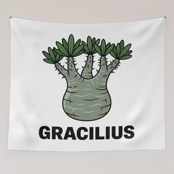 Item preview, Pachypodium Densiflorum Caudex Plant Graphic designed and sold by GreenDivisionJP.