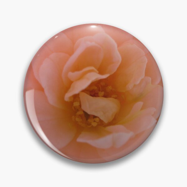 Item preview, Salmon rose. Beautiful and romantic, a poetic love rose flower. Peach Roses designed and sold by TaynaraVieira.