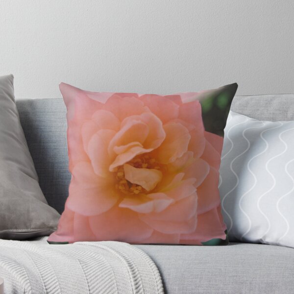 Item preview, Salmon rose. Beautiful and romantic, a poetic love rose flower. Peach Roses designed and sold by TaynaraVieira.