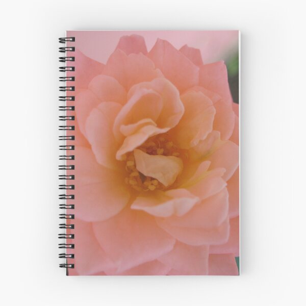 Item preview, Salmon rose. Beautiful and romantic, a poetic love rose flower. Peach Roses designed and sold by TaynaraVieira.