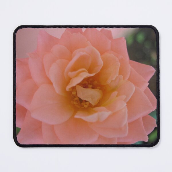 Item preview, Salmon rose. Beautiful and romantic, a poetic love rose flower. Peach Roses designed and sold by TaynaraVieira.