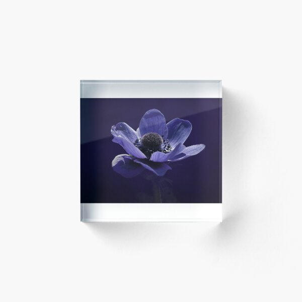 Item preview, Deep Indigo Purple Anemone Blossom Art designed and sold by YogiCodeLab.