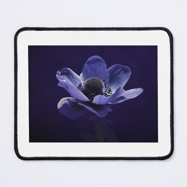Item preview, Deep Indigo Purple Anemone Blossom Art designed and sold by YogiCodeLab.