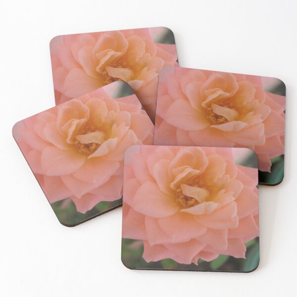 Item preview, Salmon rose. Beautiful and romantic, a poetic love rose flower. Peach Roses designed and sold by TaynaraVieira.
