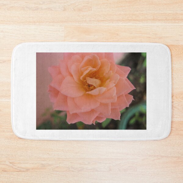 Item preview, Salmon rose. Beautiful and romantic, a poetic love rose flower. Peach Roses designed and sold by TaynaraVieira.