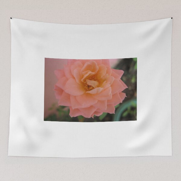 Item preview, Salmon rose. Beautiful and romantic, a poetic love rose flower. Peach Roses designed and sold by TaynaraVieira.