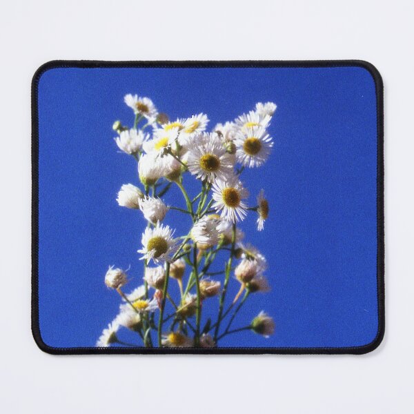 Item preview, Image shot with 35mm film designed and sold by Nova Kowalski.