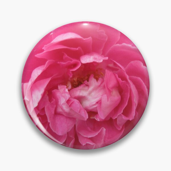 Item preview, Beautiful Pink Roses Photography: Romantic Love Damask Rose Flower (Rosa Damascena) designed and sold by TaynaraVieira.