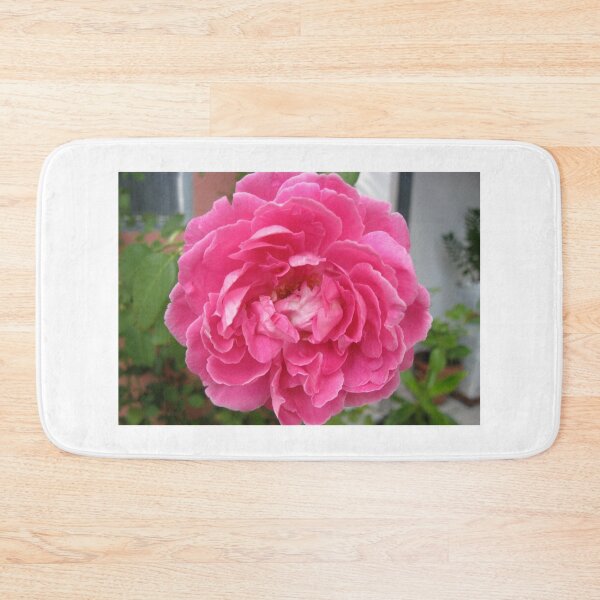 Item preview, Beautiful Pink Roses Photography: Romantic Love Damask Rose Flower (Rosa Damascena) designed and sold by TaynaraVieira.