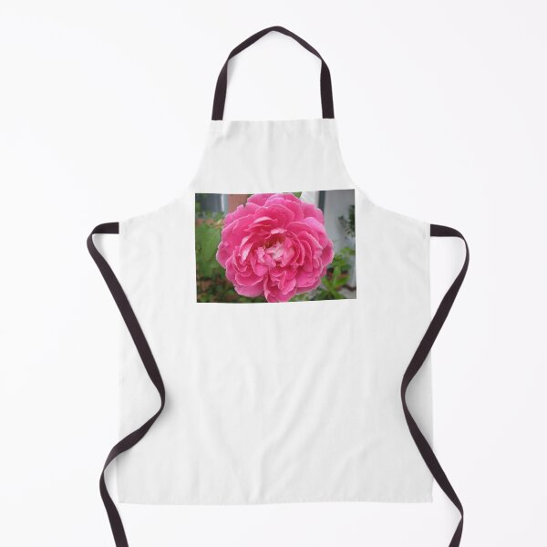Item preview, Beautiful Pink Roses Photography: Romantic Love Damask Rose Flower (Rosa Damascena) designed and sold by TaynaraVieira.