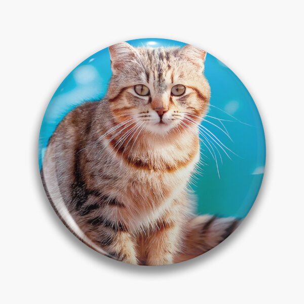 Item preview, Beautiful Tabby Cat Relaxing by Pool designed and sold by OsakaYumeWorks.