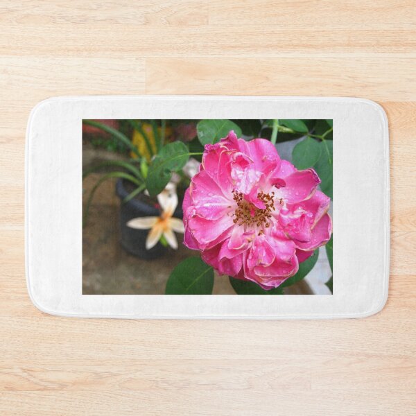 Item preview, Beautiful Pink Roses Photography: Romantic Love Damask Rose Flower (Rosa Damascena) designed and sold by TaynaraVieira.