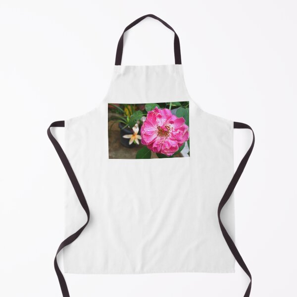 Item preview, Beautiful Pink Roses Photography: Romantic Love Damask Rose Flower (Rosa Damascena) designed and sold by TaynaraVieira.