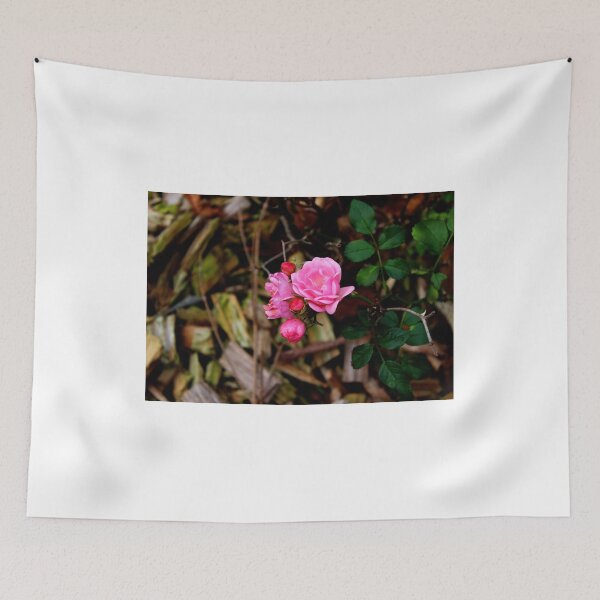 Item preview, Beautiful Pink Roses Photography: Romantic Love Rose Flower designed and sold by TaynaraVieira.