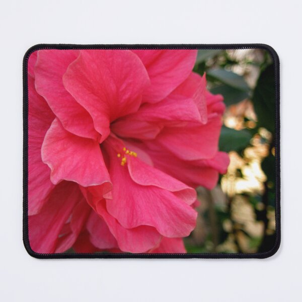 Item preview, Tropical Pink Hibiscus Blossom. Flower Close-up designed and sold by TaynaraVieira.