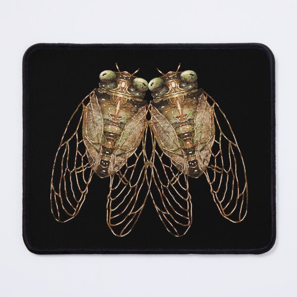 Item preview, Vintage Cicadas Antique Natural History Insects designed and sold by Karin Taylor.