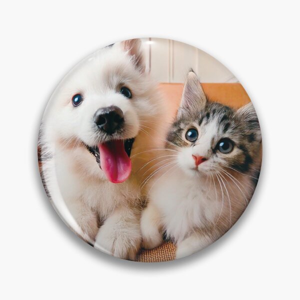 Item preview, Fluffy White Puppy and Kitten on Sofa designed and sold by OsakaYumeWorks.
