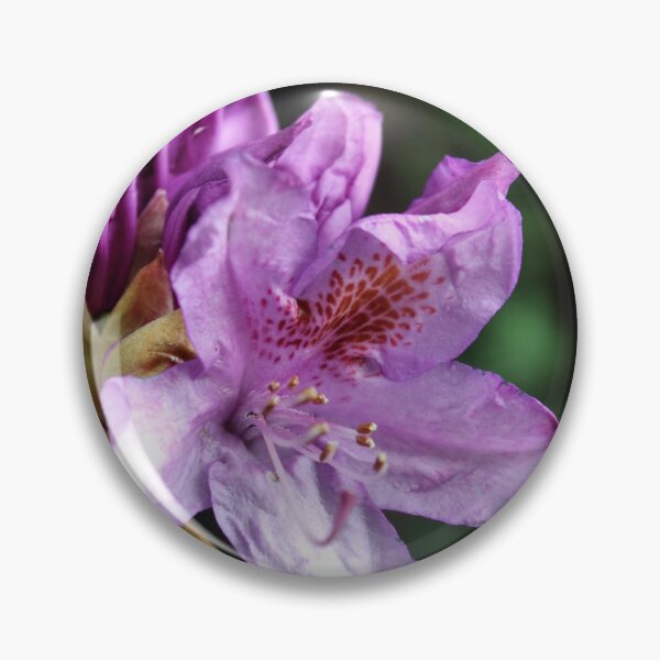 Item preview, spring flower designed and sold by KathleenDawson.