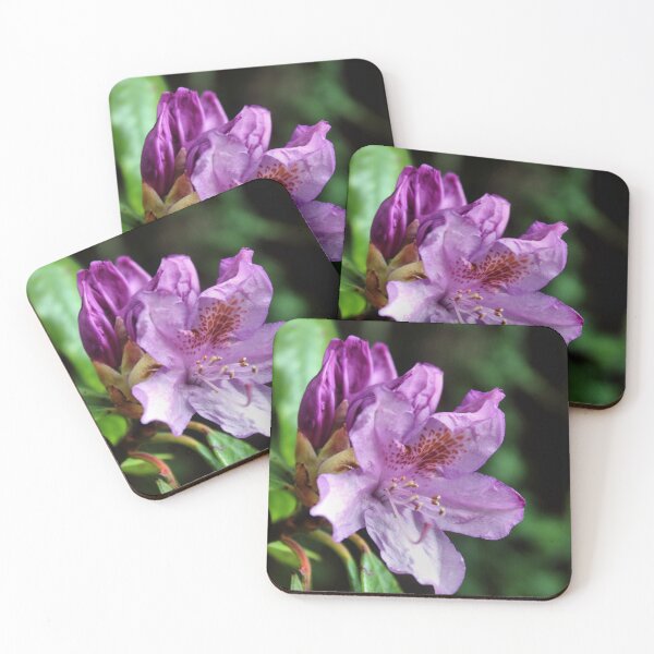 Item preview, spring flower designed and sold by KathleenDawson.