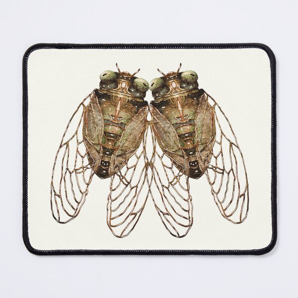Item preview, Vintage Cicadas Antique Natural History Insects designed and sold by Karin Taylor.