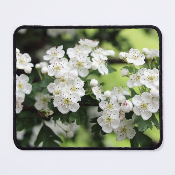Item preview, spring flower designed and sold by KathleenDawson.