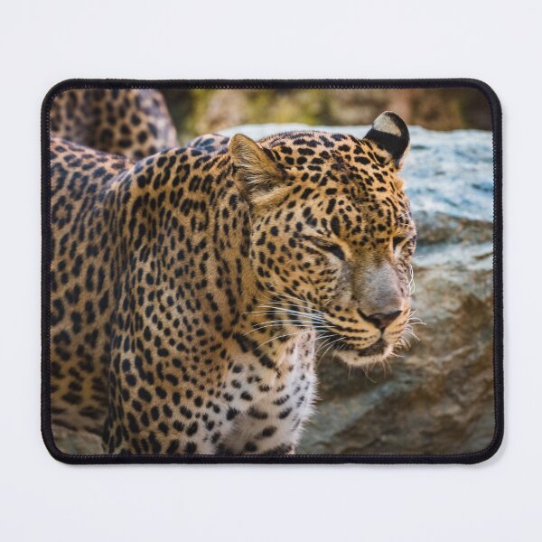 Item preview, Jaguar designed and sold by XaviFotografia.