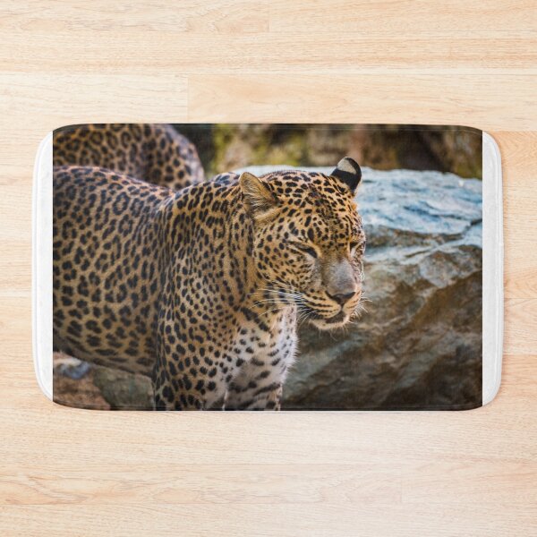 Item preview, Jaguar designed and sold by XaviFotografia.