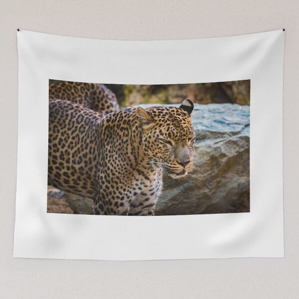 Item preview, Jaguar designed and sold by XaviFotografia.