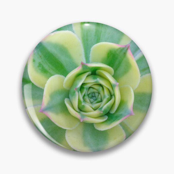 Item preview, Succulent Splendor designed and sold by assaf.