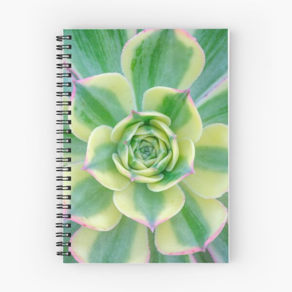 Item preview, Succulent Splendor designed and sold by assaf.