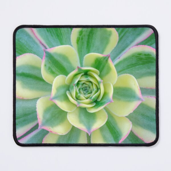 Item preview, Succulent Splendor designed and sold by assaf.