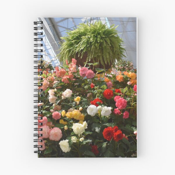 Item preview, Begonia Flower Showcase designed and sold by Yolanda Caporn Art.