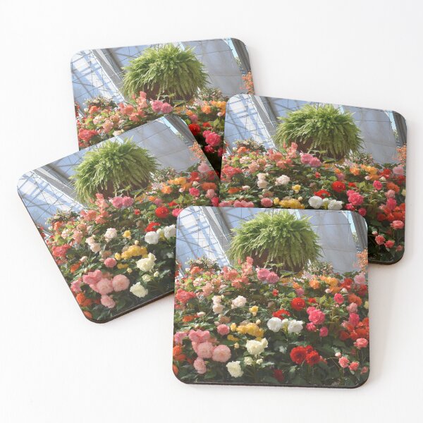 Item preview, Begonia Flower Showcase designed and sold by Yolanda Caporn Art.