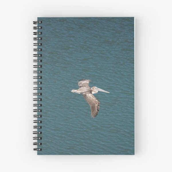 Item preview, Pelican In Flight designed and sold by Malcolm Snook.