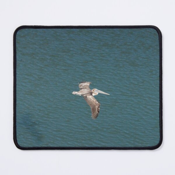 Item preview, Pelican In Flight designed and sold by Malcolm Snook.