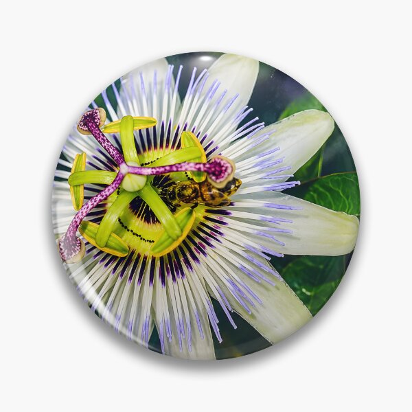 Item preview, Celestial Passionflower Glow designed and sold by Violafleurviolett.