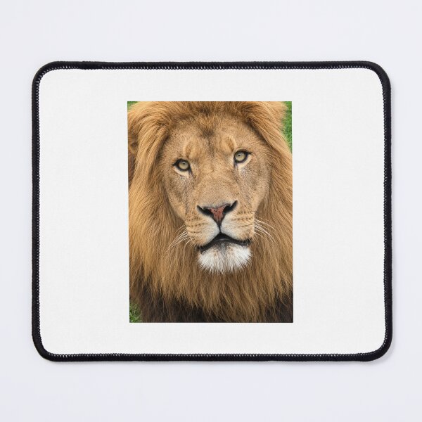 Item preview, A CAPTIVE LION designed and sold by trevorp.